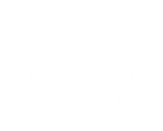 Logo — Festival de Verão