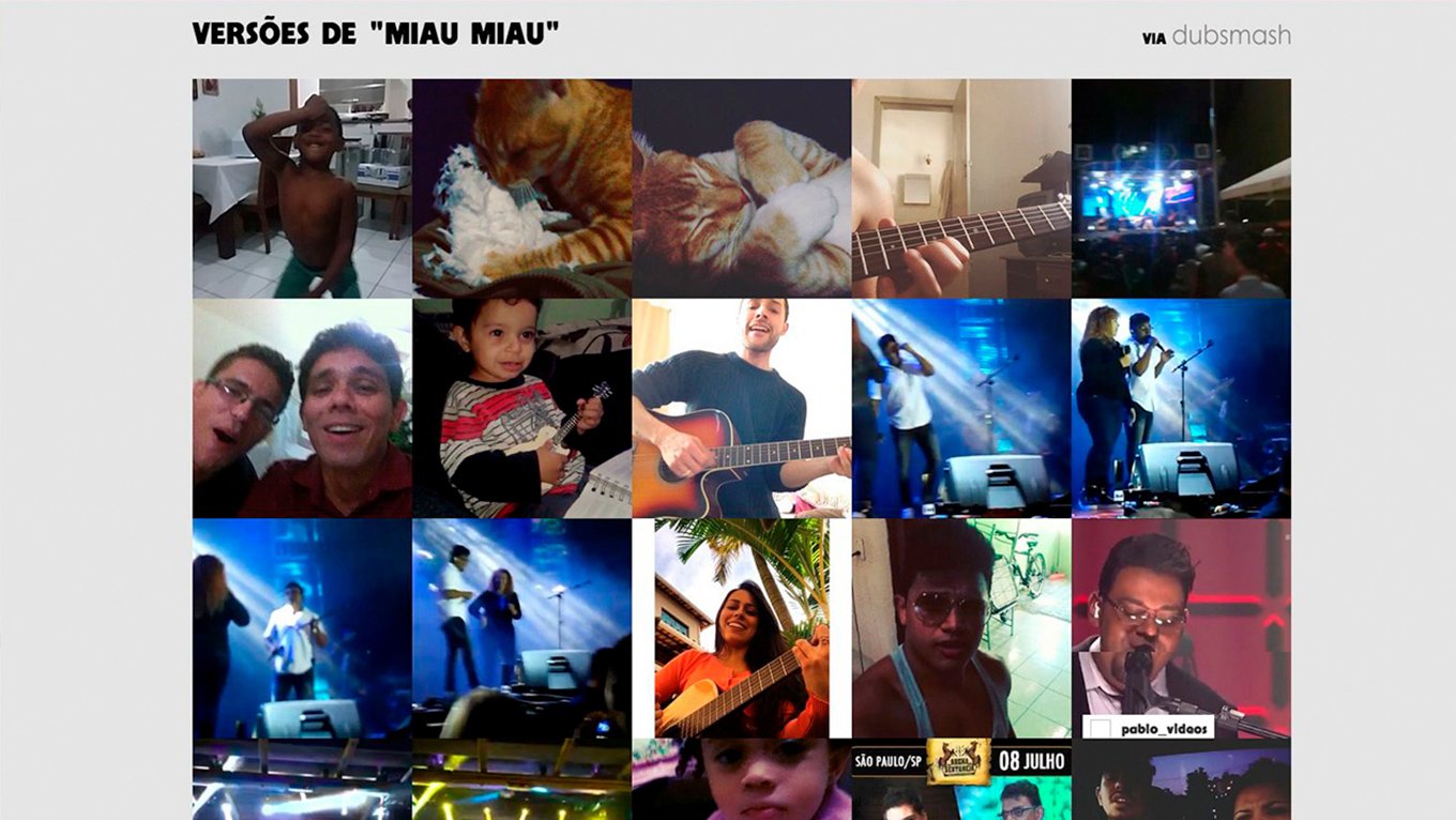 Galeria - Miau Miau