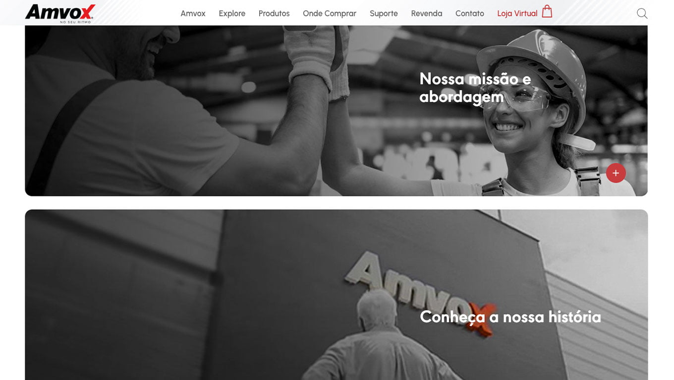 Página interna — Amvox Institucional