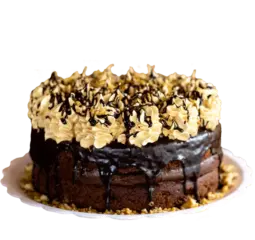 Tortarelli — apoio