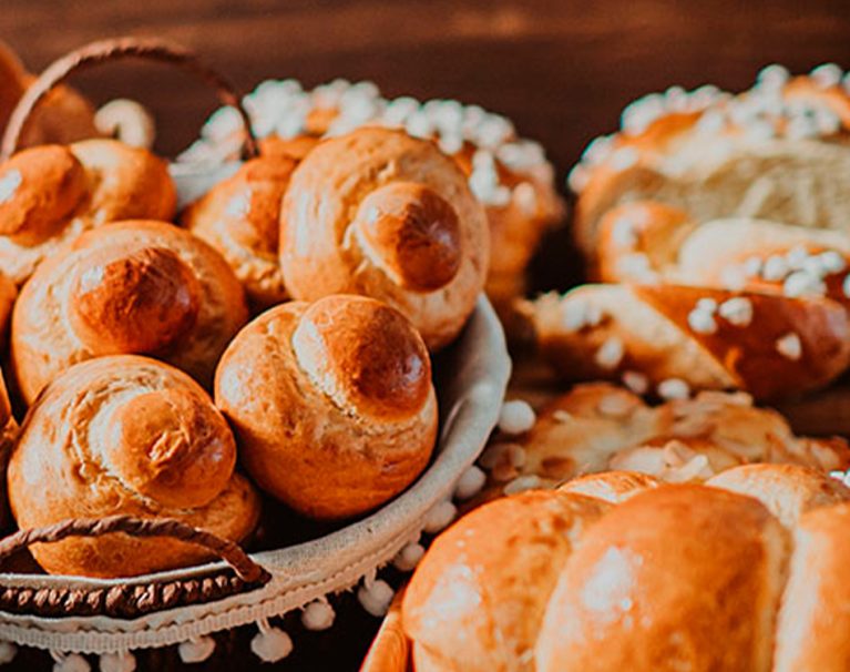 Galeria - M. Dias Branco Profissional