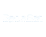 Logo — GeoeSeo