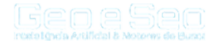 LogoGeoSEo