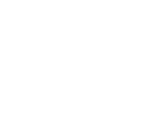 Logo — Bravo