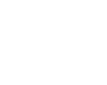 Logo — Pulo